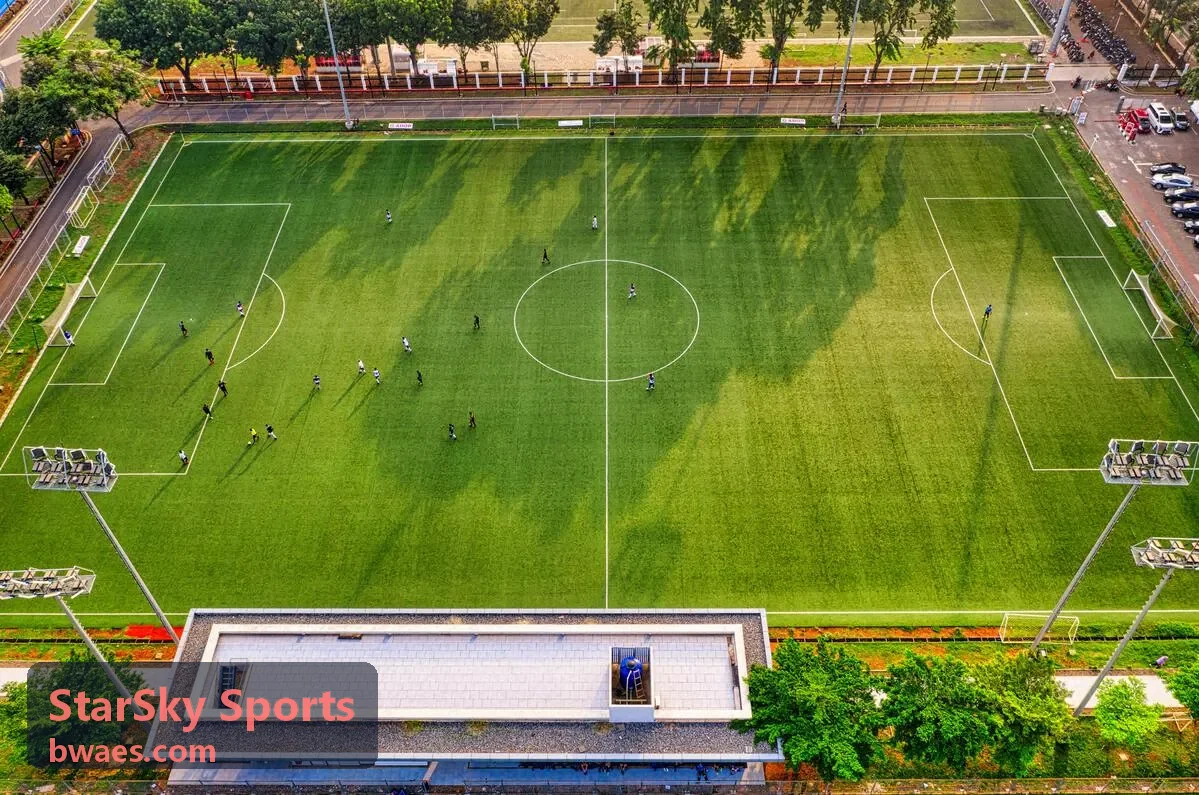 StarSky Sports 球类联赛与循环赛编排