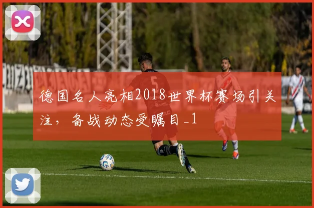 德国名人亮相2018世界杯赛场引关注,备战动态受瞩目_1